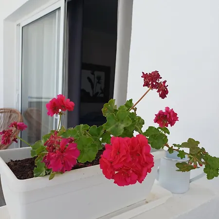 Casa Esterlita * Tarajalejo